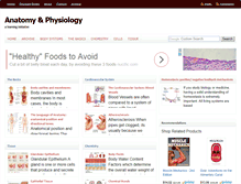 Tablet Screenshot of anatomyandphysiologyi.com